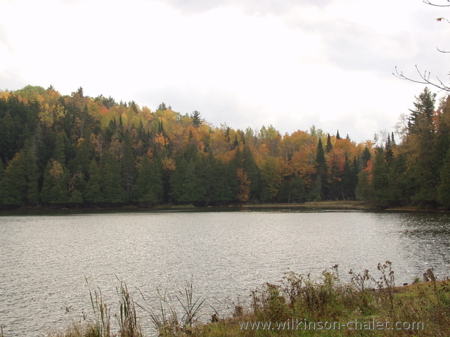 Malone Bay shoreline during the early Fall,
       Lac des trente et un milles (31 miles lake),
       Bouchette, Quebec
