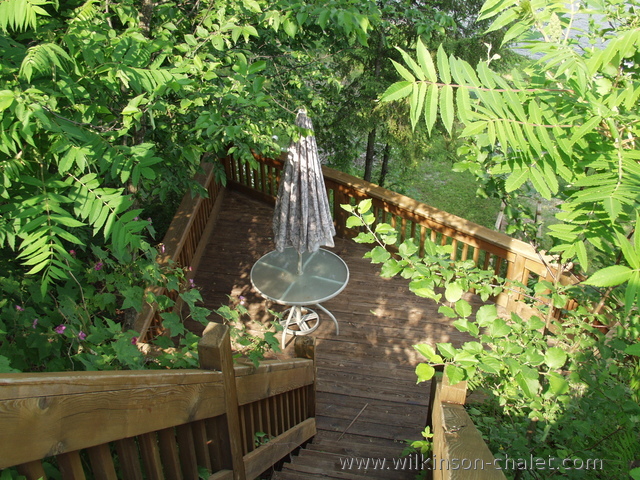 Cottage stairs landing during the Summer,
       Lac des trente et un milles (31 miles lake),
       Bouchette, Quebec